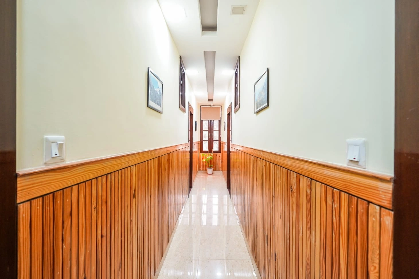 whatsapp image 2026 02 11 at 11.42.47