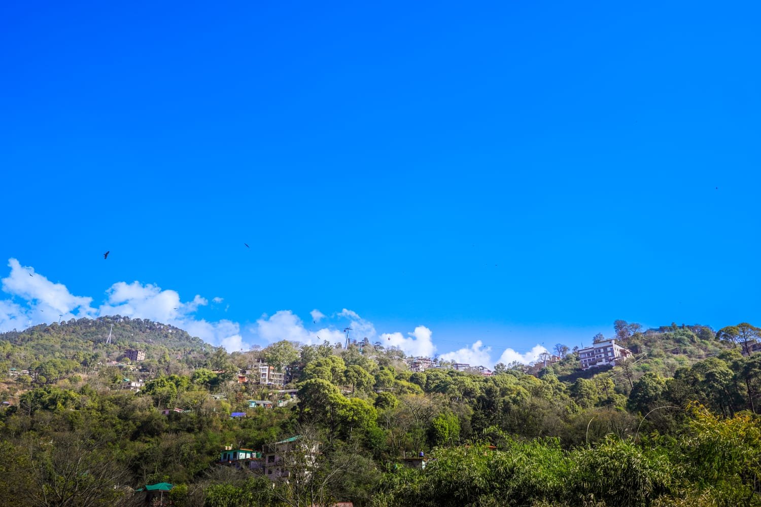 whatsapp image 2026 02 11 at 11.43.23 (1)