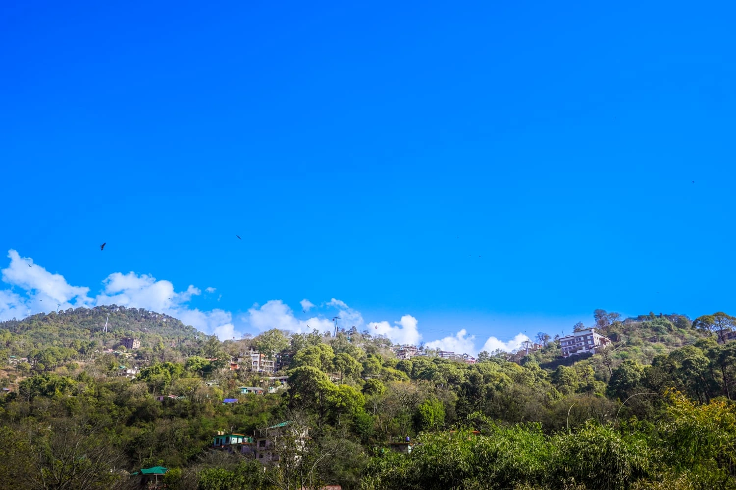 whatsapp image 2026 02 11 at 11.43.23 (1)