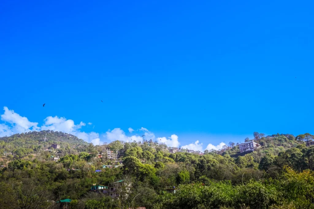 whatsapp image 2026 02 11 at 11.43.23 (1)