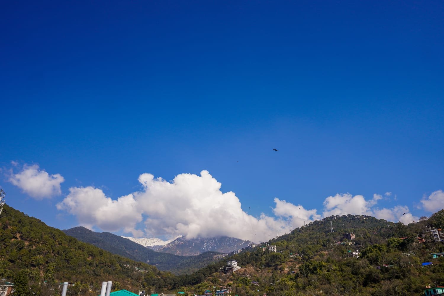 whatsapp image 2026 02 11 at 11.43.24